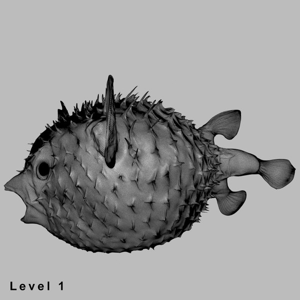 3d fugu fish model