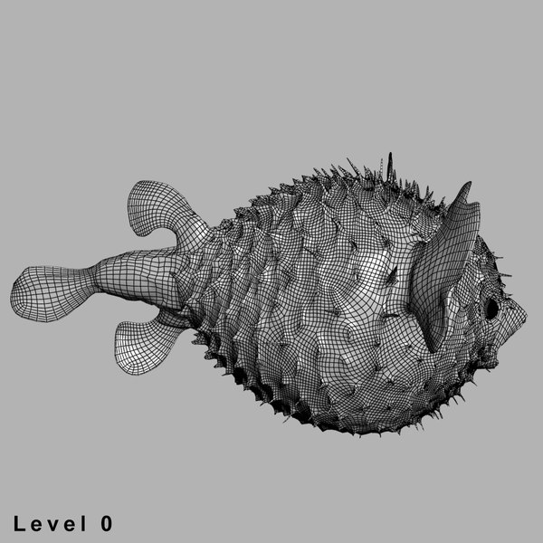 3d fugu fish model