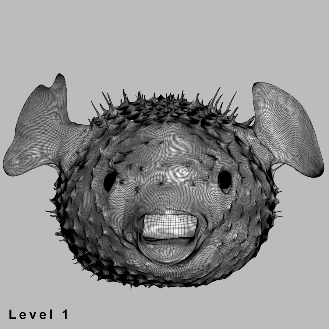 3d fugu fish model https://p.turbosquid.com/ts-thumb/9L/eUBhni/JQ1RYkfL/wire015/jpg/1467027387/1920x1080/fit_q87/450ca37c0a951fcf73eeb3ca2393df9f17f538ee/wire015.jpg