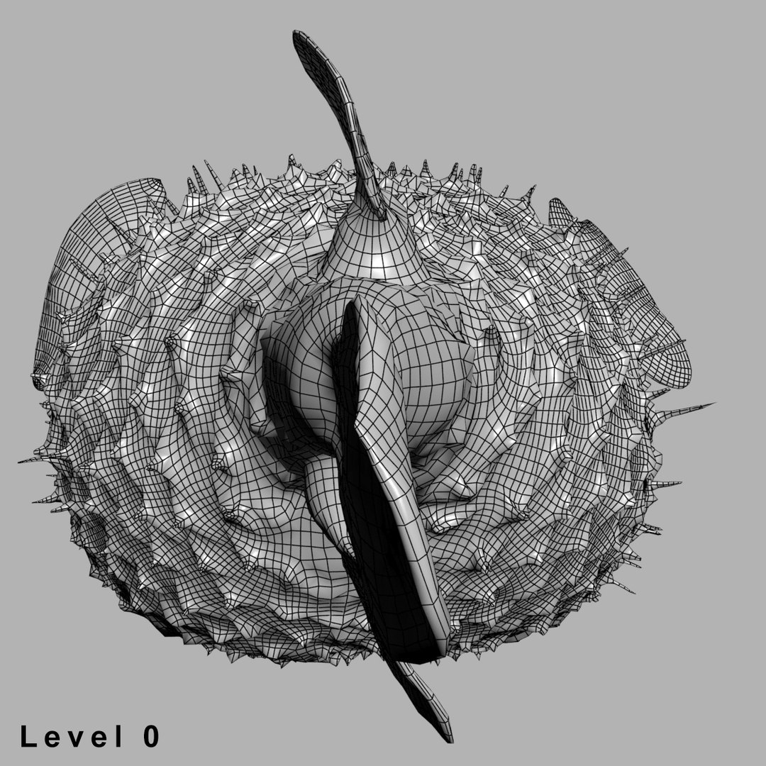 3d fugu fish model https://p.turbosquid.com/ts-thumb/9L/eUBhni/LXhku63F/wire03/jpg/1467027387/1920x1080/fit_q87/e5ebc5cba767b591f2a06990dfd86cf599965663/wire03.jpg