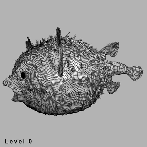 3d fugu fish model