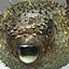 Fugu Fisch