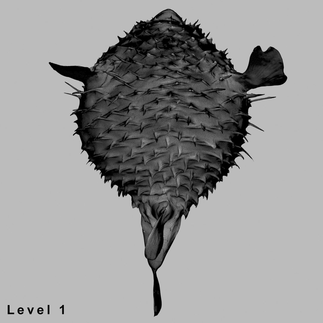 3d fugu fish model https://p.turbosquid.com/ts-thumb/9L/eUBhni/gsRTz9ib/wire017/jpg/1467027387/1920x1080/fit_q87/10a4ca9de6909265fc475175495fff4295eca9ef/wire017.jpg