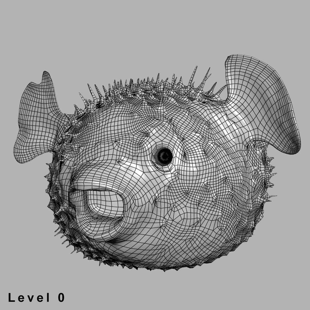 3d fugu fish model https://p.turbosquid.com/ts-thumb/9L/eUBhni/i9jElt3Z/wire01/jpg/1467027387/1920x1080/fit_q87/7a6026f5b1937ae144a8accf4b436eb847a814cc/wire01.jpg