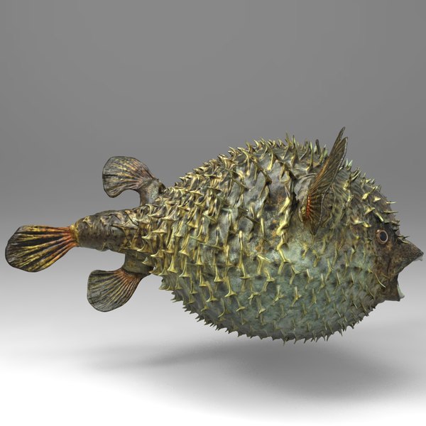 3d fugu fish model