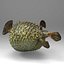 Fugu Fisch