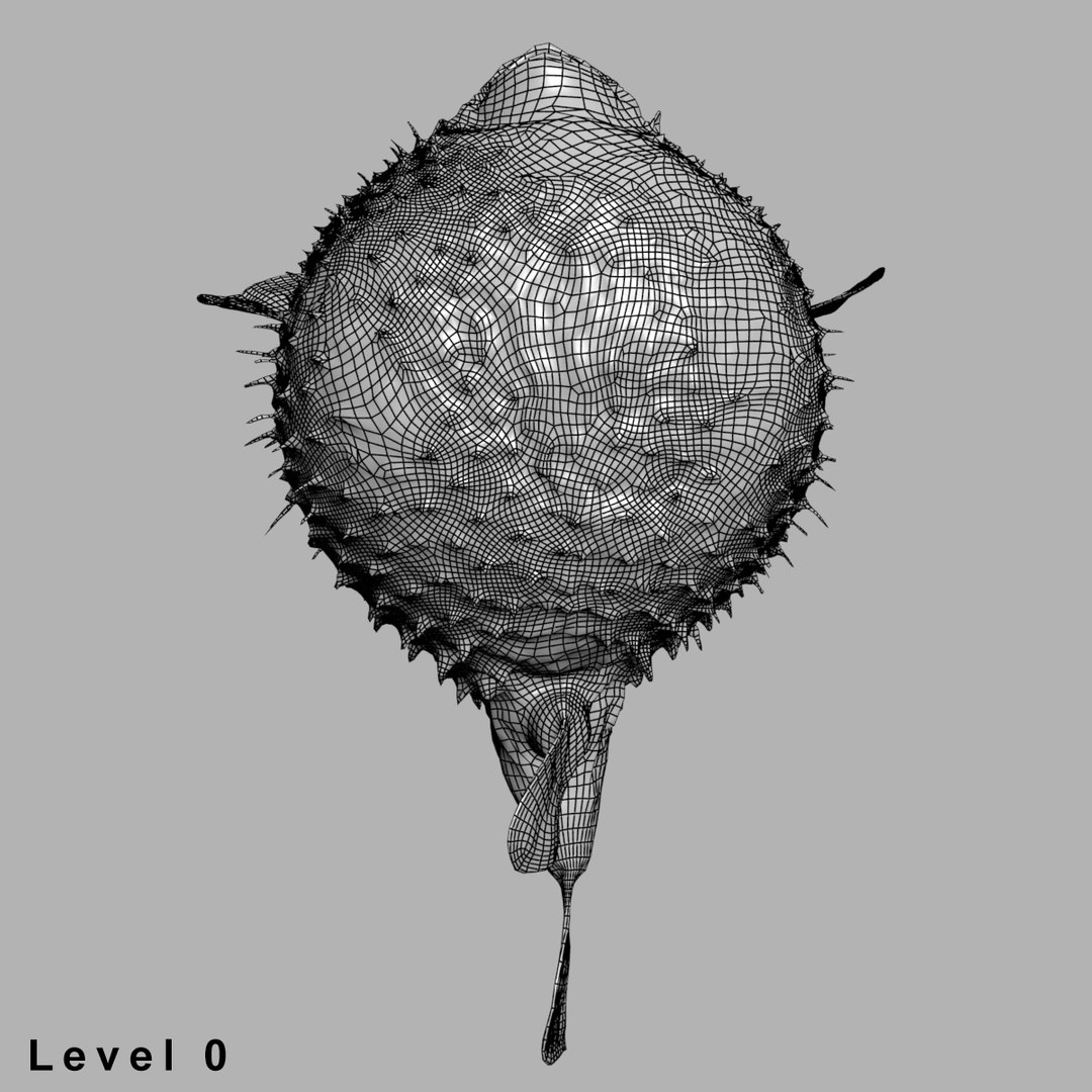 3d fugu fish model https://p.turbosquid.com/ts-thumb/9L/eUBhni/ueatrPdO/wire06/jpg/1467027387/1920x1080/fit_q87/637a5ae1eece5878a83140558afa56032b55ce1c/wire06.jpg