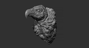 3D Vulture head