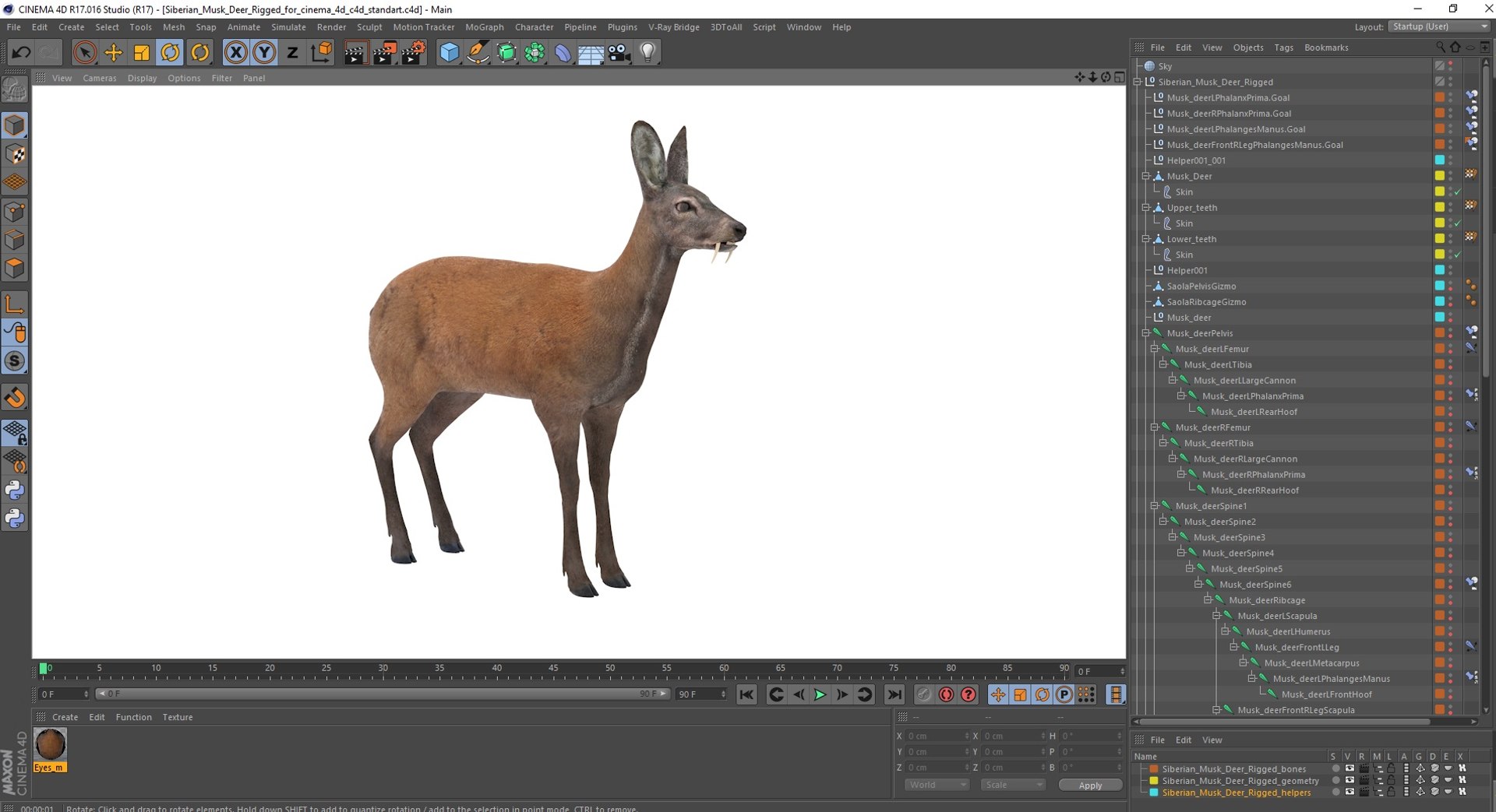 Siberian Musk Deer Rigged For Cinema 4D 3D Model - TurboSquid 2225120