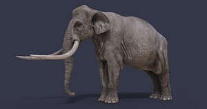 3D Palaeoloxodon antiquus model