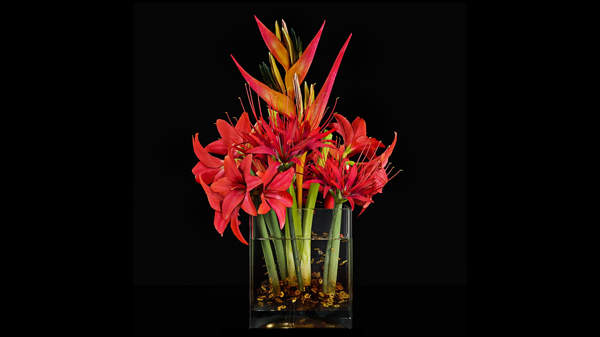 3D Plant 55 model https://p.turbosquid.com/ts-thumb/9M/EfR530/rT/pr1_55_2/png/1671964479/1920x1080/fit_q87/7cea74288ed034be8896d4bd1b3555d0e448e206/pr1_55_2.jpg
