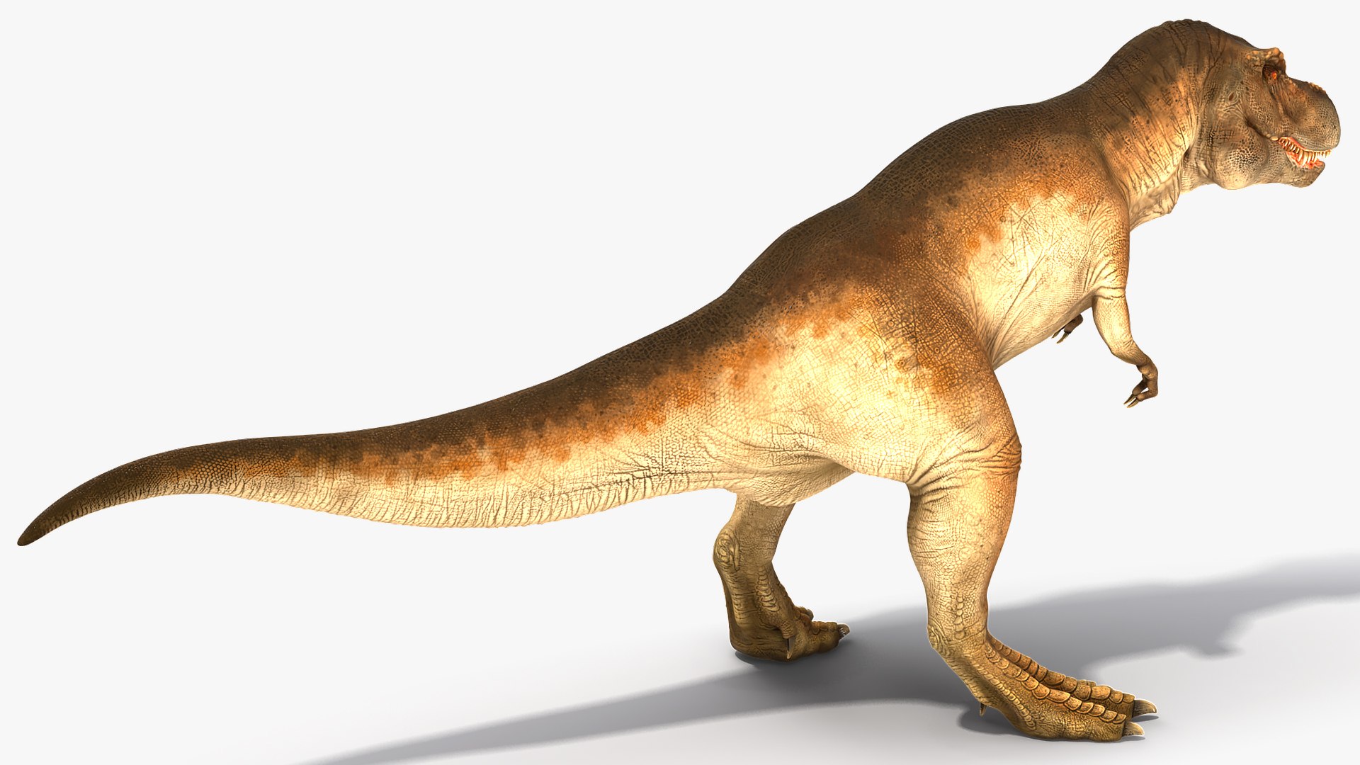 Dino dinosaur t 3D model - TurboSquid 1593017