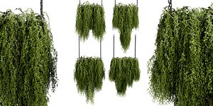 Collection plant vol 531 - blender 3D model
