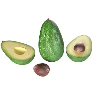 3D Avocado fruit seed