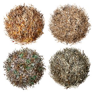 tumbleweed hay bush 3D