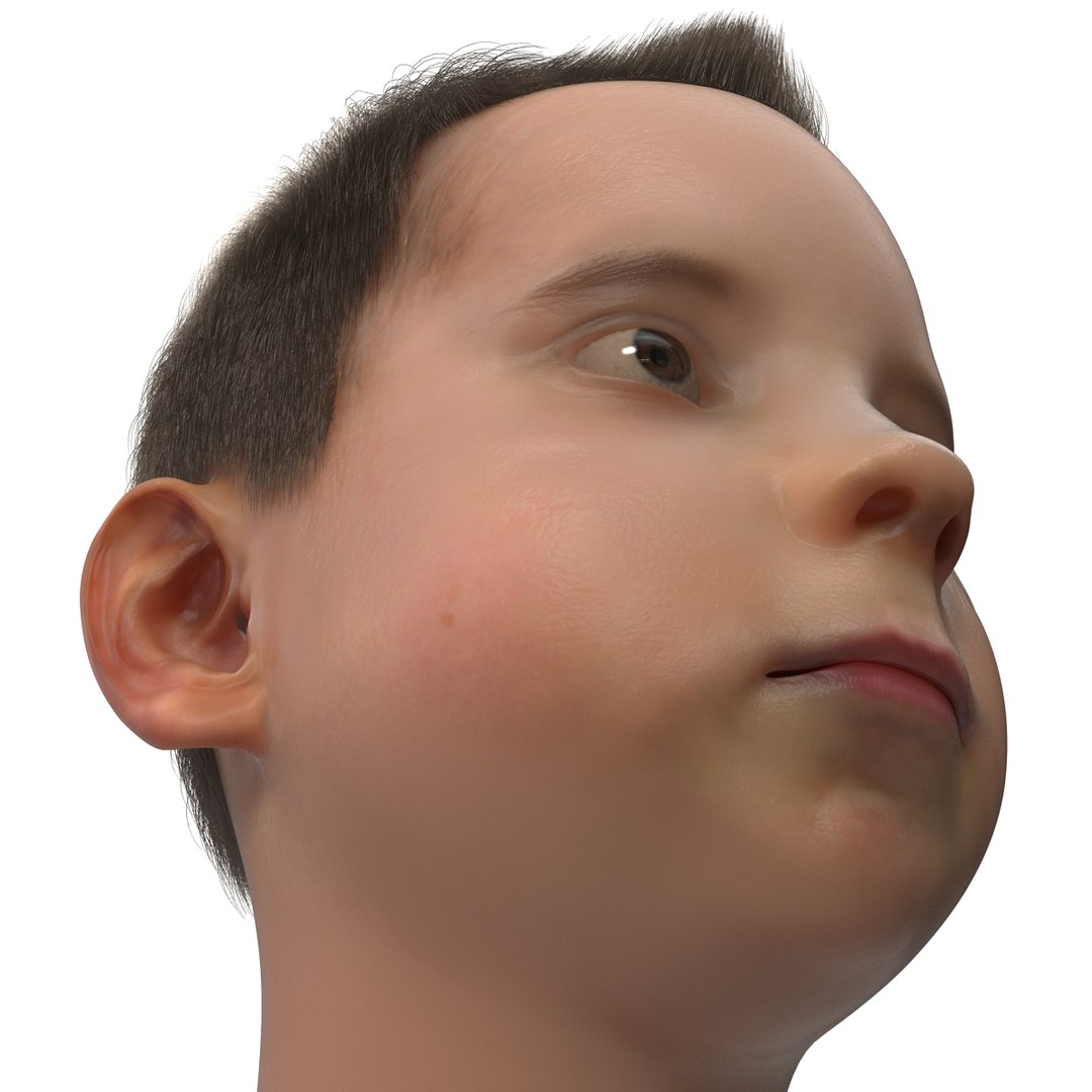 3d model of boy head version 2 https://p.turbosquid.com/ts-thumb/9M/YNlHdC/EZiLildb/boyheadfur_19/jpg/1386258612/1920x1080/fit_q87/1a8aca2a1661d500dd08e4071c8a2f265fd07468/boyheadfur_19.jpg
