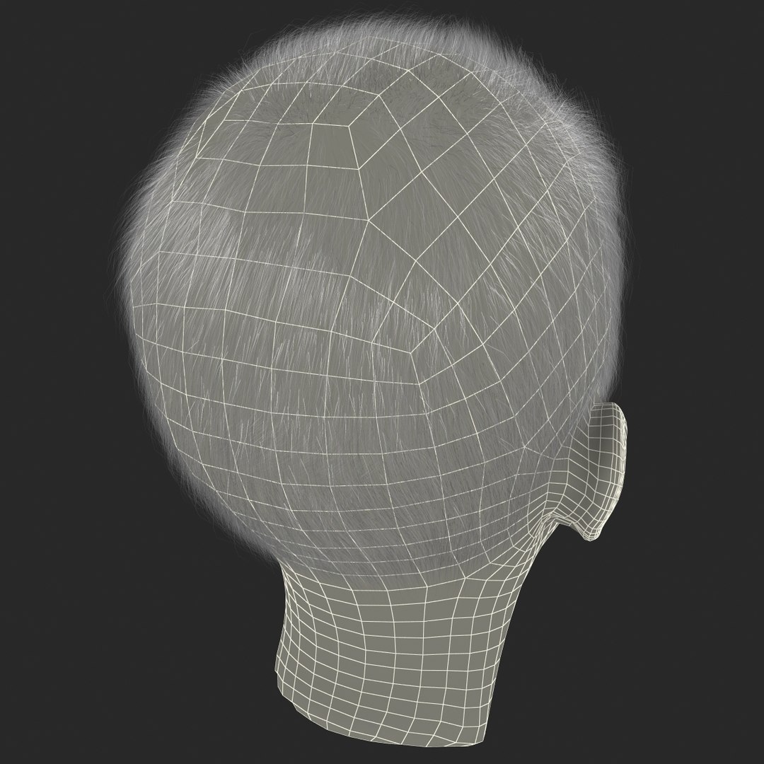 3d model of boy head version 2 https://p.turbosquid.com/ts-thumb/9M/YNlHdC/GsApMLmm/boyheadfur_176/jpg/1386259225/1920x1080/fit_q87/1771d0d8ccb3f308780925a1434a1bc646fc7c5c/boyheadfur_176.jpg