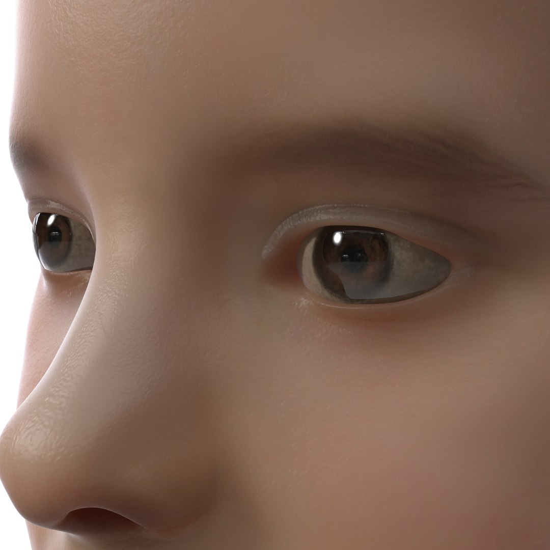 3d model of boy head version 2 https://p.turbosquid.com/ts-thumb/9M/YNlHdC/HshrKCWv/boyheadfur_20/jpg/1386258615/1920x1080/fit_q87/4a6699d635520e689eefc10fbc863e1865114399/boyheadfur_20.jpg