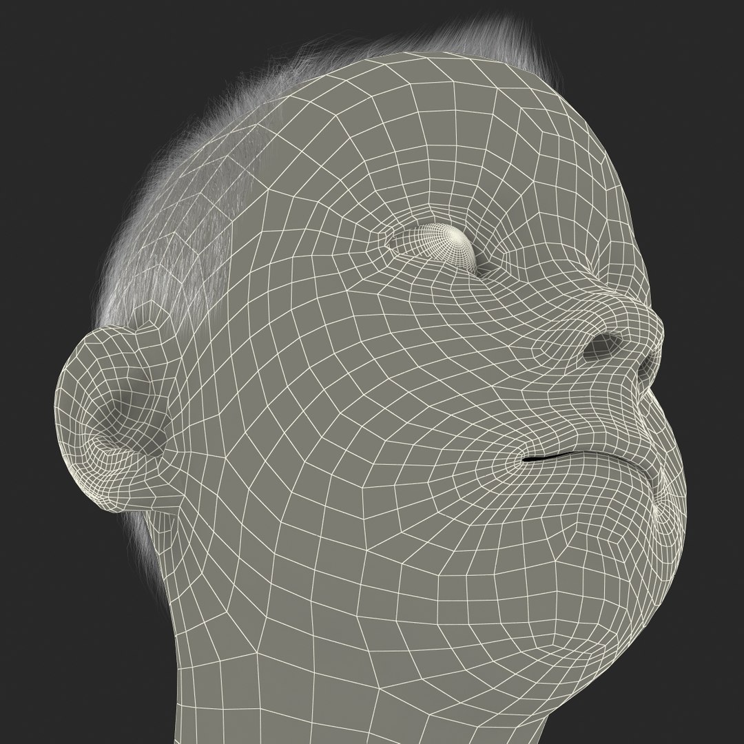 3d model of boy head version 2 https://p.turbosquid.com/ts-thumb/9M/YNlHdC/PXqi2kMr/boyheadfur_178/jpg/1386259235/1920x1080/fit_q87/afee57ab4fa5d67a5e7510b7117e81a450f004e5/boyheadfur_178.jpg