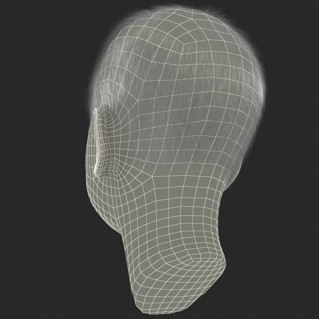 3d model of boy head version 2 https://p.turbosquid.com/ts-thumb/9M/YNlHdC/fWGnaQJW/boyheadfur_175/jpg/1386259224/1920x1080/fit_q87/71d998ce59d1053644cd5903aa706f121a4ad074/boyheadfur_175.jpg