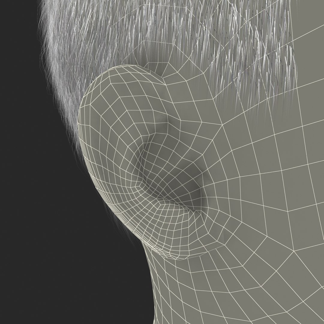 3d model of boy head version 2 https://p.turbosquid.com/ts-thumb/9M/YNlHdC/gLWRqBdN/boyheadfur_177/jpg/1386259228/1920x1080/fit_q87/d06521a19f10da73c9360af6720d465e708d4605/boyheadfur_177.jpg