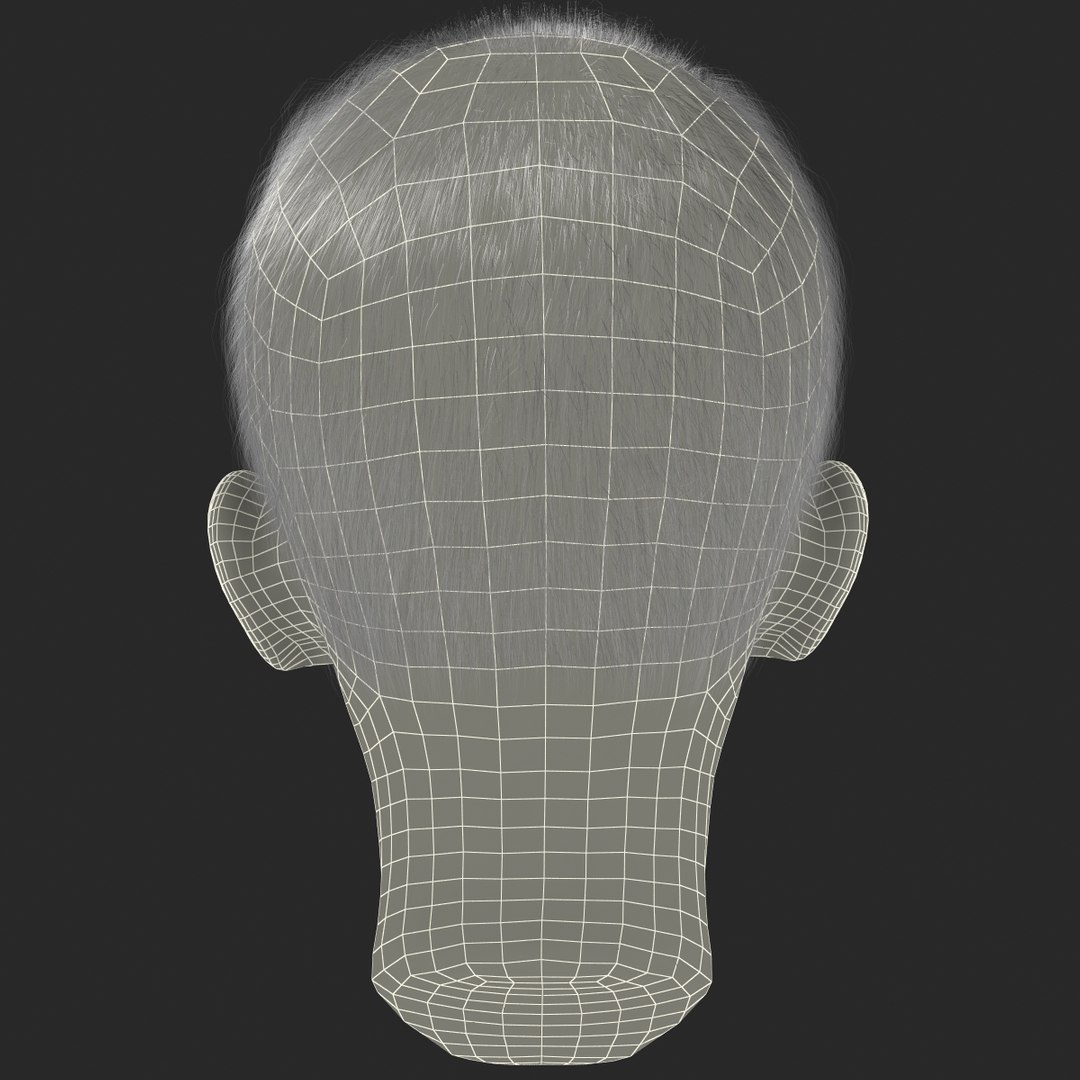 3d model of boy head version 2 https://p.turbosquid.com/ts-thumb/9M/YNlHdC/gXxDIOL1/boyheadfur_170/jpg/1386259201/1920x1080/fit_q87/c6f9bcbba90fc21a4f0bf22dcd056e214a4e39b7/boyheadfur_170.jpg