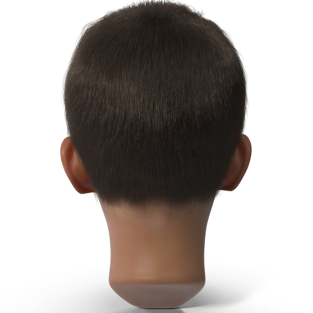 3d model of boy head version 2 https://p.turbosquid.com/ts-thumb/9M/YNlHdC/rv5gHW58/boyheadfur_11/jpg/1386258584/1920x1080/fit_q87/49496bd3d3bf1c511c3e015e95bf6725b00c4b65/boyheadfur_11.jpg