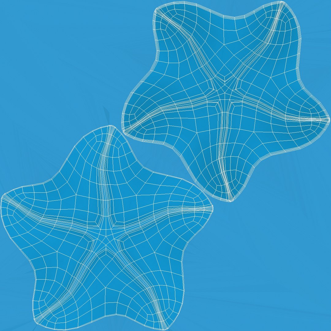 sand toy star 2 3D model https://p.turbosquid.com/ts-thumb/9M/dUO11O/nyVUHqQc/2_1_sandtoystarfisn2_uv1/jpg/1589618432/1920x1080/fit_q87/b585386d97aa5c7bdb8f793f068e475380ec1cc5/2_1_sandtoystarfisn2_uv1.jpg
