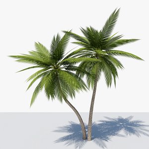3D Lowpoly Date Palm v5