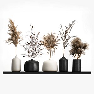 3D Collection of bouquets of dried flowers 211 model