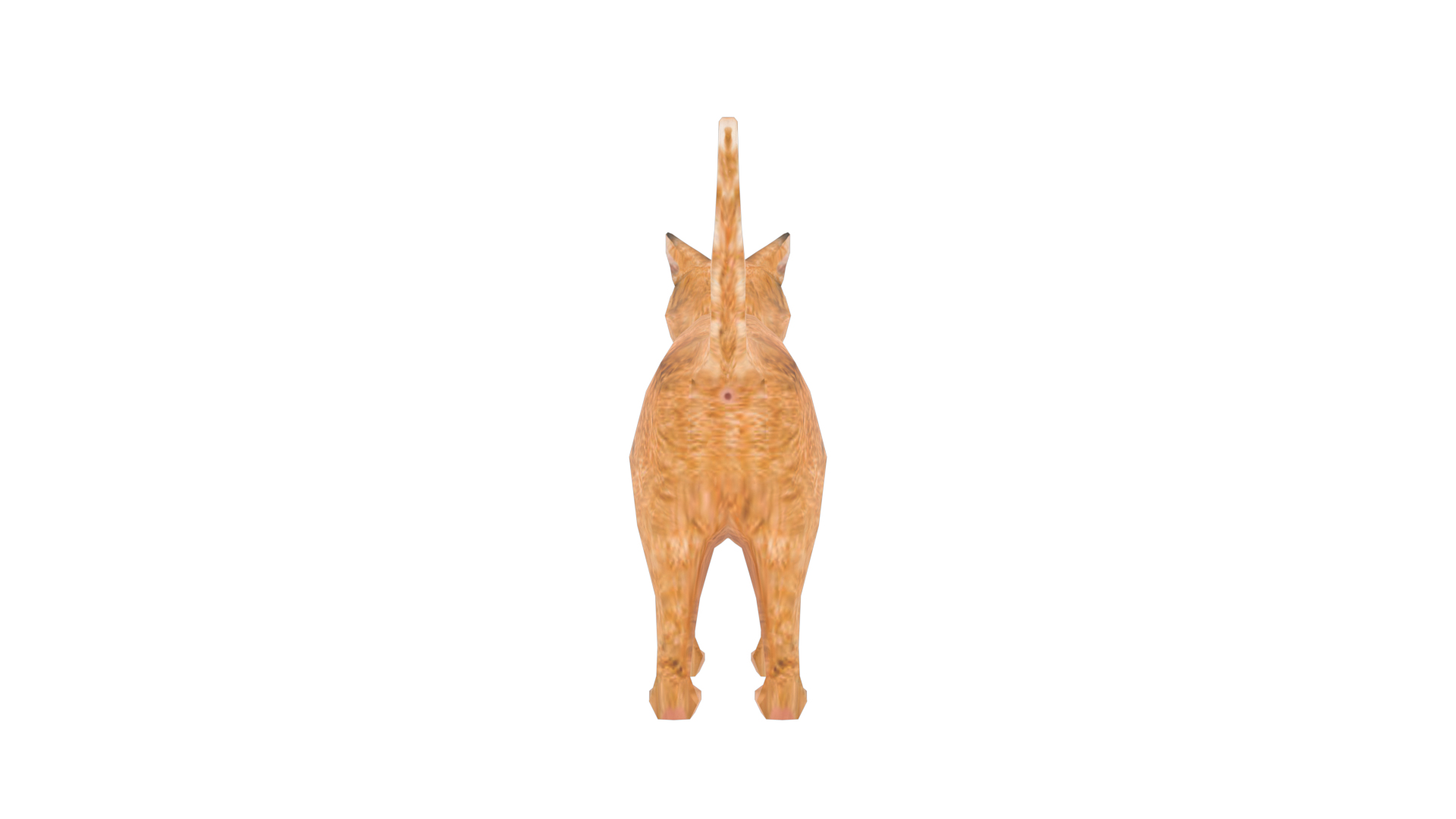 Cat low poly 3D https://p.turbosquid.com/ts-thumb/9M/qXBZRK/mt/redcat/png/1712708796/1920x1080/turn_fit_q99/752a7d2f3c68a0da9a1bf13461e847324e76b09a/redcat-1.jpg