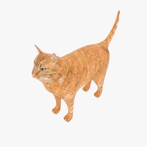Cat low poly 3D