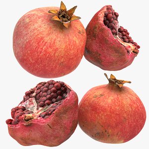 Pomegranate 3D model