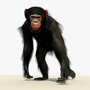 chimpanzee walking pose fur 3ds