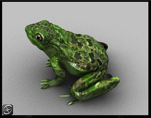 frog 3d obj