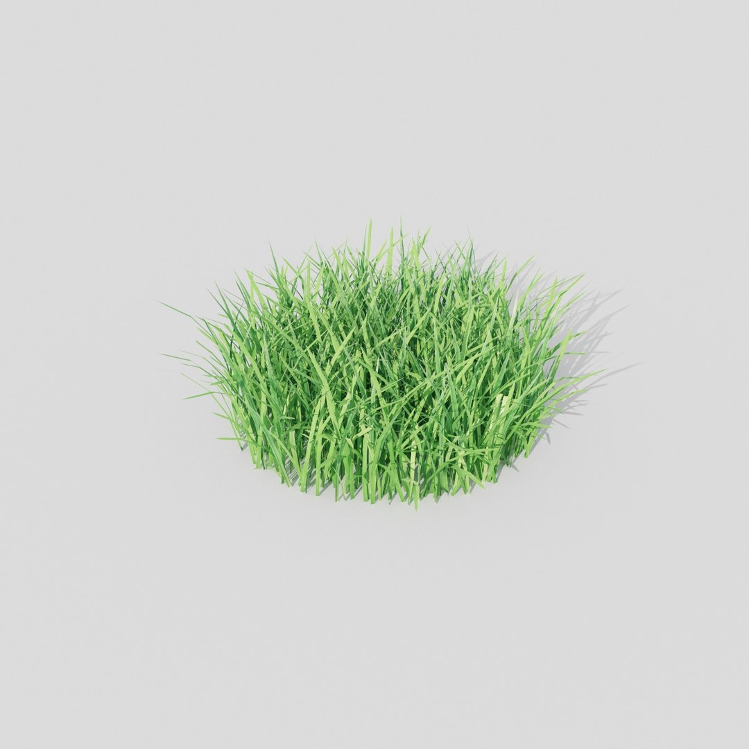 Grass Stones 3D Model - TurboSquid 1323864