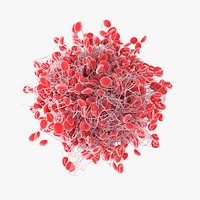 Blood Clot