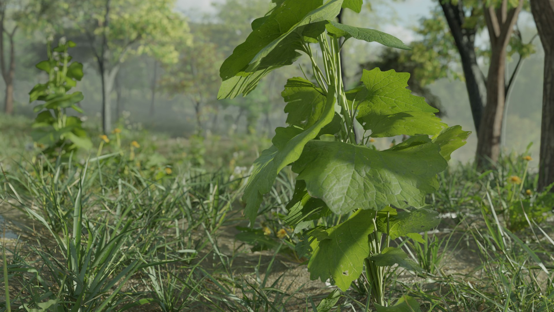 Most Realistic FOREST 3D Model - TurboSquid 2294892