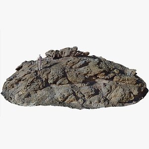 3D Coast Volcanic Rock Cliff Big Scan PBR model
