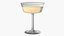 3D Fizzio Champagne Glass model