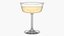 3D Fizzio Champagne Glass model