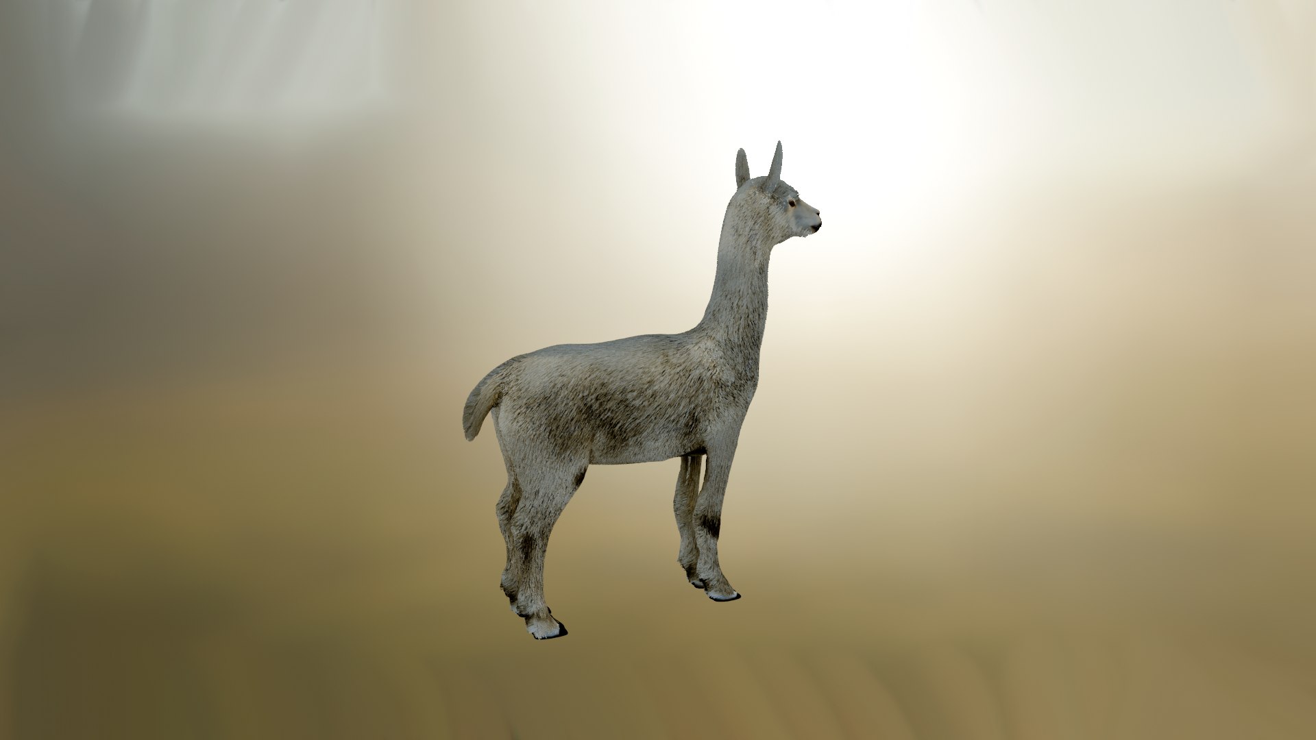 Alpaca 3D Model - TurboSquid 1937140