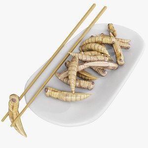 Grasshoppers edible insects