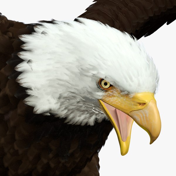 Bald Eagle Attack model