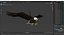 Bald Eagle Attack model