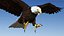 Bald Eagle Attack model