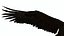 Bald Eagle Attack model