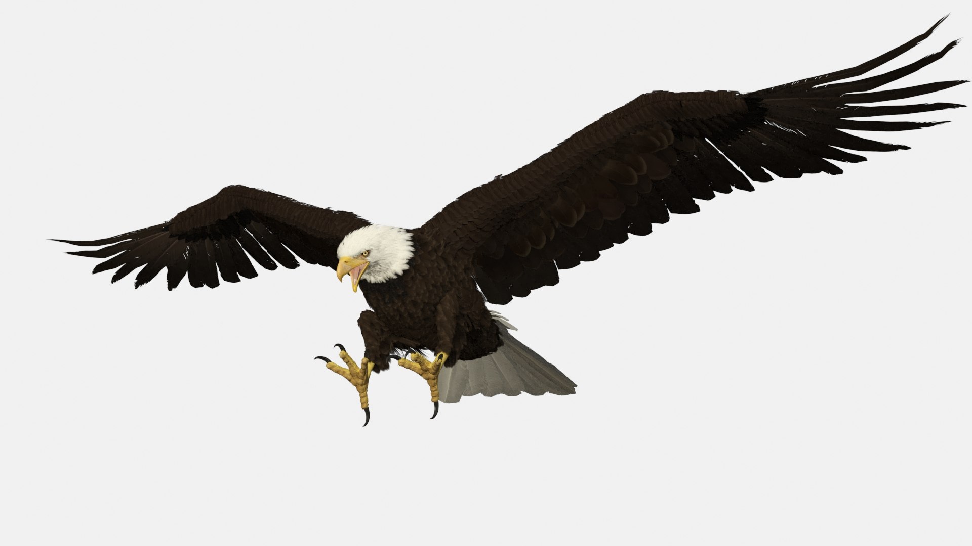 Bald Eagle Attack model https://p.turbosquid.com/ts-thumb/9O/ZuLyTA/eP/baldeagleattack3dsmodel001/jpg/1722288397/1920x1080/fit_q87/9fb360347207a59b86c5cc3d02bb0ece42912652/baldeagleattack3dsmodel001.jpg