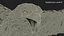 Bald Eagle Attack model