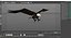 Bald Eagle Attack model